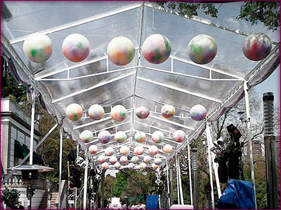 Carpas Transparentes