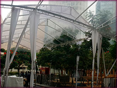 Carpas Transparentes