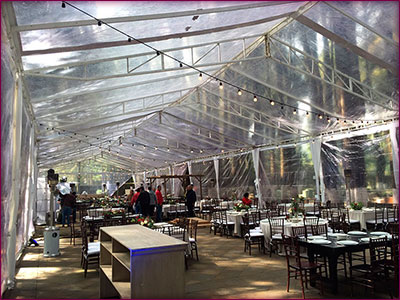 Carpas Transparentes